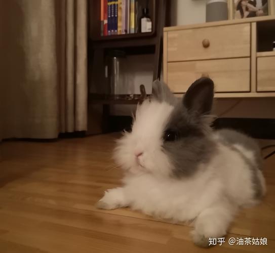 被男友咬小兔兔的感觉知乎(被男友咬小兔兔的感觉：知乎用户的真实体验分享)