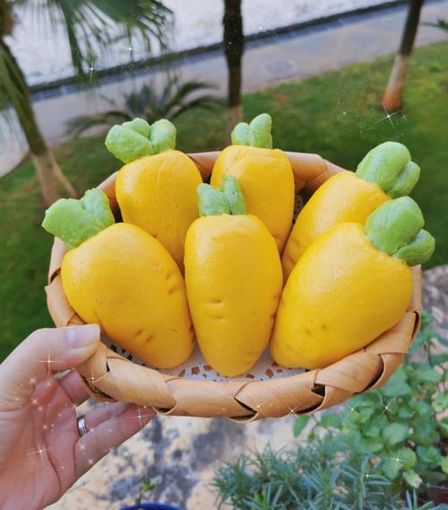 在床上拔萝卜又疼又叫什么(在床上拔萝卜又疼又叫什么：探索萝卜拔出时的疼痛原因与缓解方法)