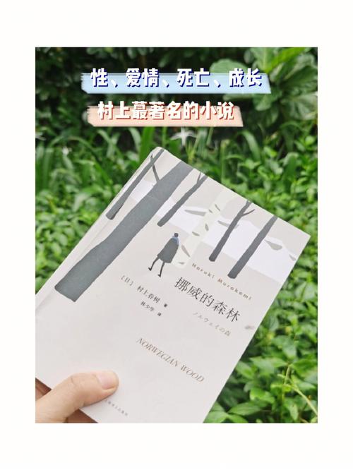 挪威的森林截取了一小段(挪威的森林：一段神秘而美丽的旅程)