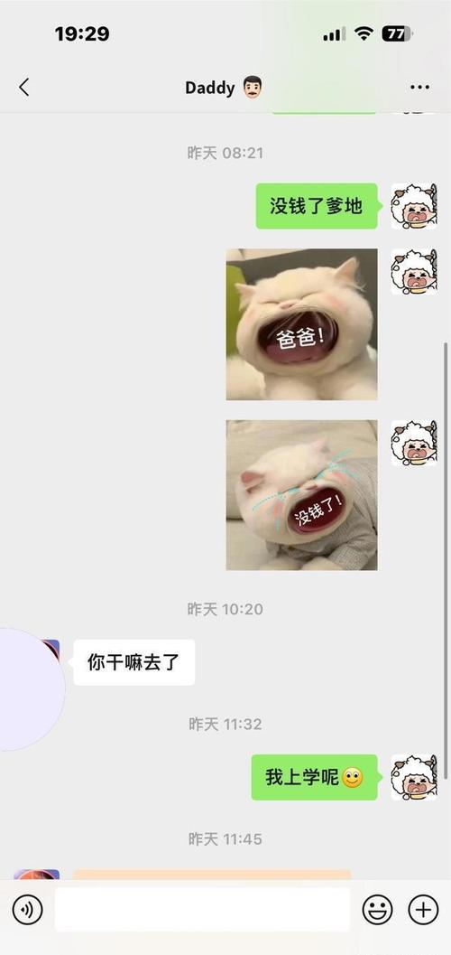 双人床上打扑克教程(双人床上打扑克教程：轻松娱乐的技巧与策略)