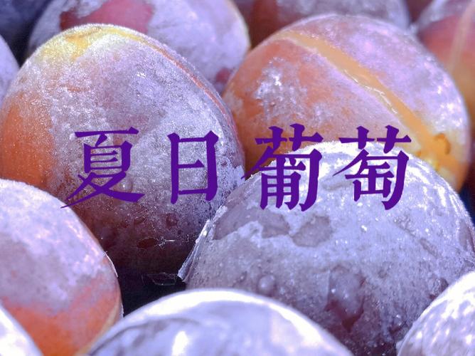 冰葡萄一颗一颗往下体塞(冰葡萄一颗一颗往下体塞：探索独特体验与注意事项)