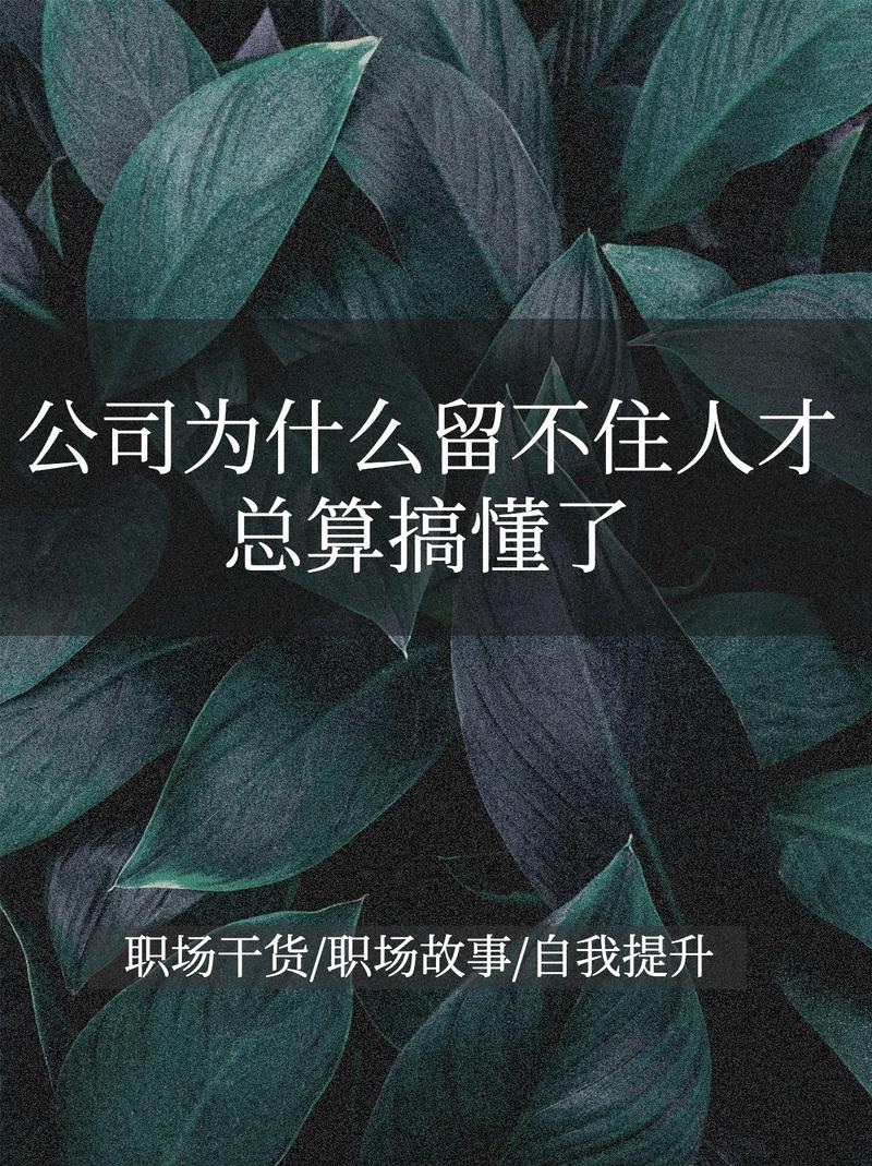 早知道在公司就干了你了(早知道在公司就干了你了：职场关系与道德界限的探讨)