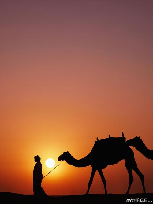 迈开腿我们换个地方C视频(迈开腿:换个地方C视频的旅行探险之旅) 迈开腿我们换个地方C视频(迈开腿:换个地方C视频的旅行探险之旅)