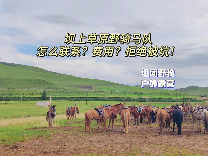 在骑马的时候要了你(“骑马安全指南：在骑马时需要注意的关键事项”)