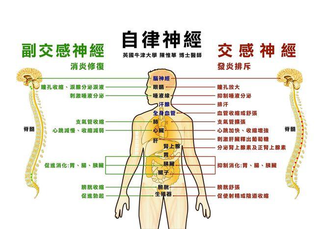 晚上做运动打扑克声音(晚上做运动打扑克声音 - 夜间娱乐活动与健康生活平衡指南)