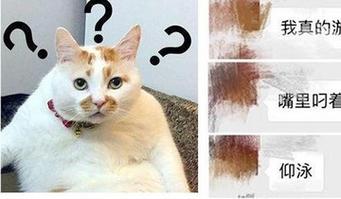 把棒棒糖放屁眼视频(棒棒糖放屁眼:揭秘网络恶搞视频的背后真相) 把棒棒糖放屁眼视频(棒棒糖放屁眼:揭秘网络恶搞视频的背后真相)