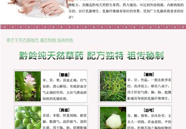 上边一面亲下边一摸的功效(上边一面亲下边一摸的功效：深入解析其独特作用)