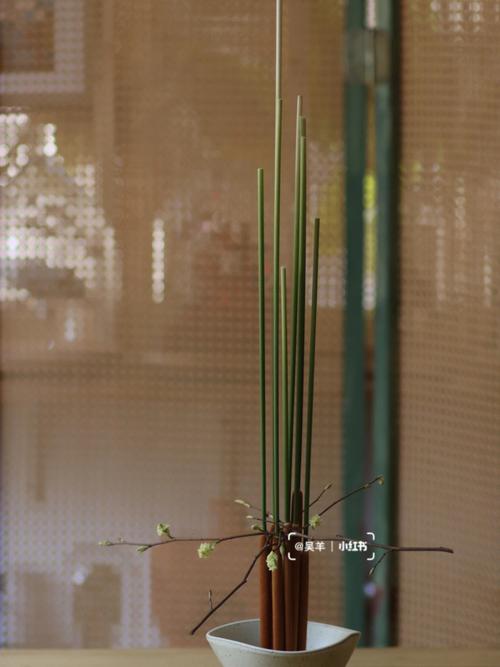 倒插莲花是什么样子的(倒插莲花：揭秘其独特形态与文化意义)