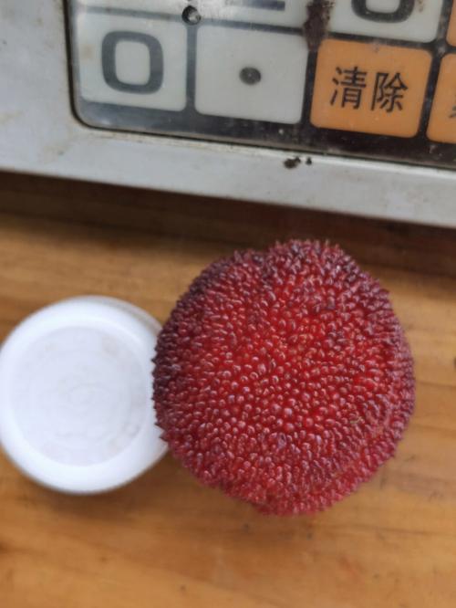 将荔枝一颗一颗的推进(荔枝推进技巧:轻松实现一颗一颗的精准操作) 将荔枝一颗一颗的推进(荔枝推进技巧:轻松实现一颗一颗的精准操作)