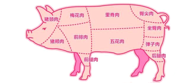 折腰最肉在哪一张(折腰最肉位置详解)