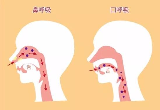 女生一边喘气一边说痛(“女生喘气说痛：深入解析背后的原因与应对方法”)