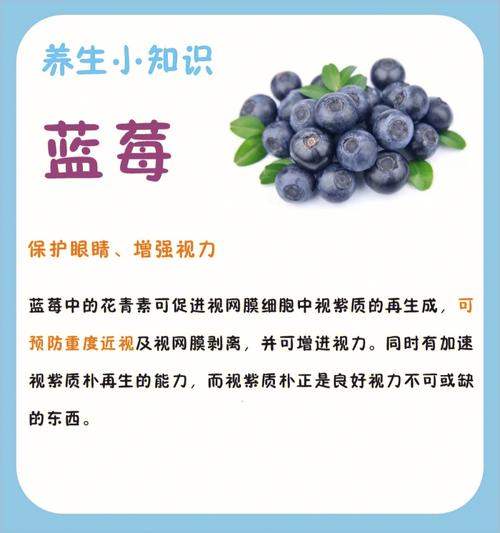 蓝莓是热性还是凉性(蓝莓属性解析：热性还是凉性？)