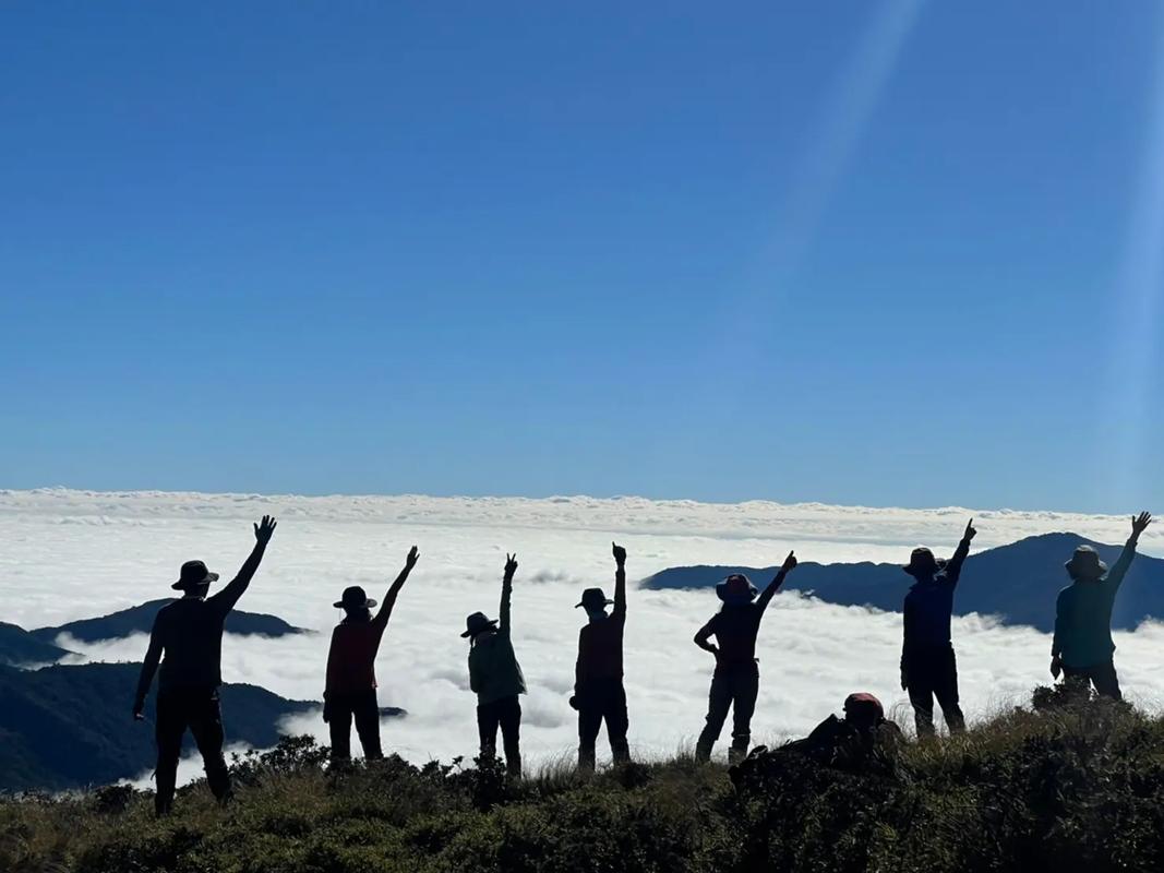 岳打开双腿开始配合(“岳打开双腿配合：深入解析与技巧分享”)