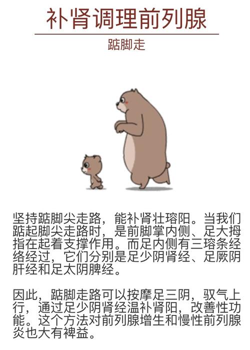 走一下撞一下深深咬合(“走一下撞一下深深咬合:探索行走与碰撞的紧密联系”) 走一下撞一下深深咬合(“走一下撞一下深深咬合:探索行走与碰撞的紧密联系”)