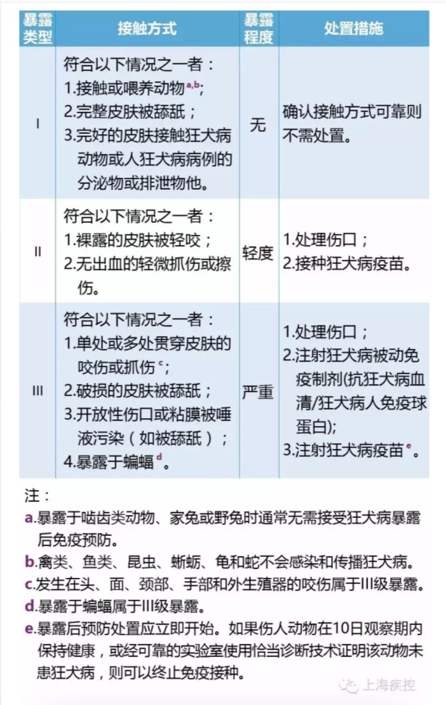 我被自己家狗狗给c了(“狗狗意外伤害：如何预防和处理家庭宠物的意外事件”)