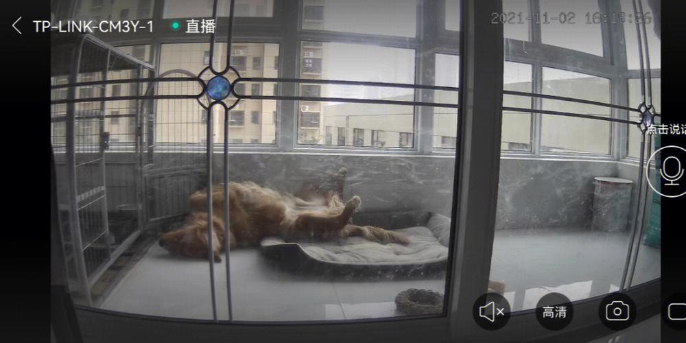 家狗狗卡在我里面痛怎么办(“家狗狗卡住疼痛：紧急处理与预防措施”)