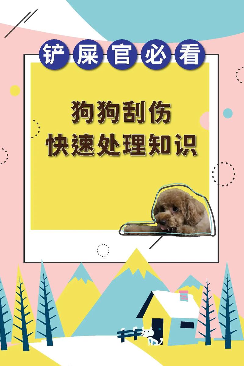 我被自己家狗狗给c了(“狗狗意外伤害：如何预防和处理家庭宠物的意外事件”)