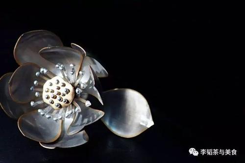 倒插莲花是什么一种服务(倒插莲花：揭秘这种独特服务的神秘面纱)