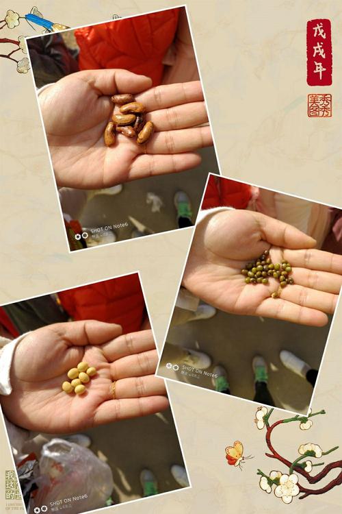 怎么玩自己的小豆子图片(玩转小豆子图片:创意拍摄与编辑技巧全解析) 怎么玩自己的小豆子图片(玩转小豆子图片:创意拍摄与编辑技巧全解析)