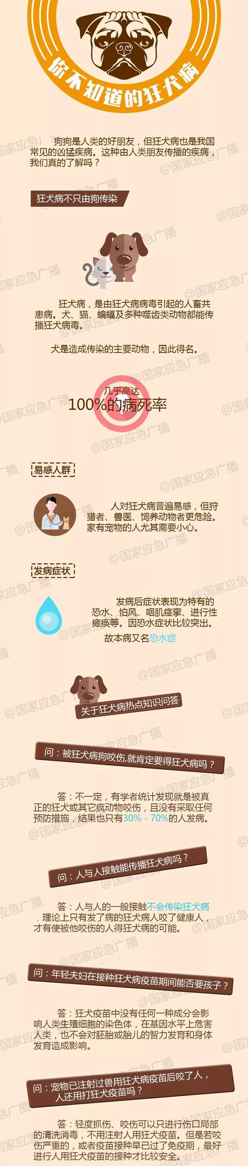 我被自己家狗狗给c了(“狗狗意外伤害：如何预防和处理家庭宠物的意外事件”)