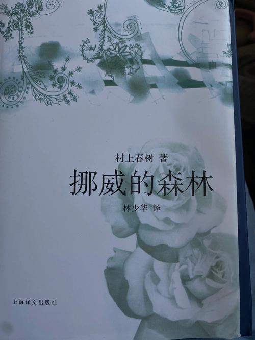 挪威的森林截了一段小视频(挪威的森林：小视频的神秘魅力与拍摄技巧)