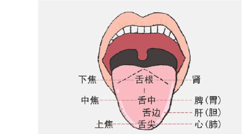 舌头往里面伸有一点点(舌头往里面伸有一点点：深入解析舌头异常现象的原因与影响)