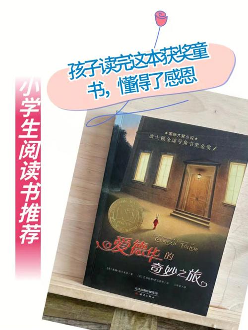 把跳d放在里面坐公交车作文(跳D体验：公交车上的奇妙旅程)
