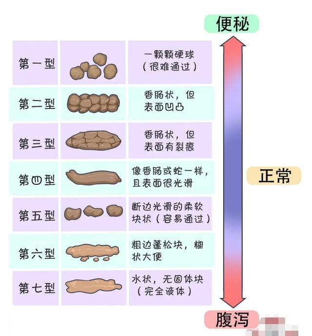 每天肚子里都是主人的尿肉(“尿肉现象：每天肚子里都是主人的尿肉的详细说明与分析”)