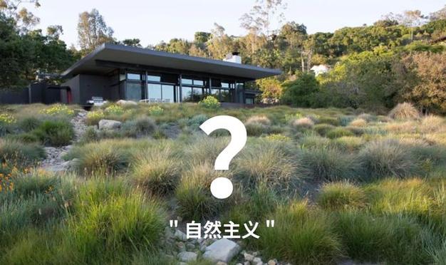 最新的美国ZOOM动物(最新的美国ZOOM动物：深入探索与互动)