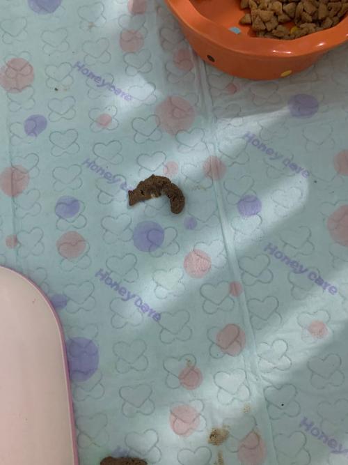 把棉签放屁眼里一个晚上(棉签使用不当：避免将棉签插入肛门的潜在风险)