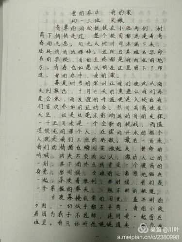 做错一题进去一次C黄的作文(C黄作文：避免错误，提升写作技巧)