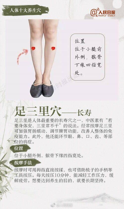 文轩分腿器河马的秘密河(文轩分腿器：河马的秘密，全面解析健身器材的使用方法)