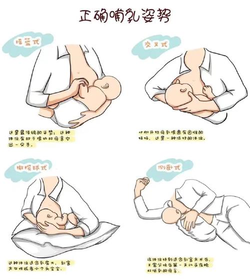 什么姿势可以吃到小兔子(小兔子喂养姿势,正确方法与技巧全解析)