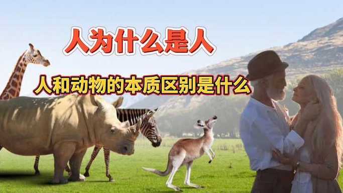 人与畜禽共性的视频(“人与畜禽共性：深入探讨动物行为与人类行为的相似之处”)