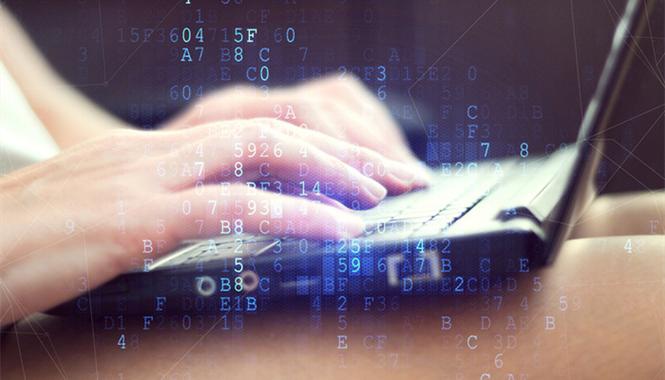 编程程序员是做什么的(程序员的编程工作主要做什么)