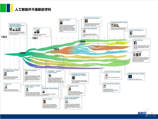 cms是什么职位(cms啥意思)