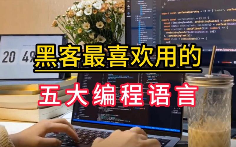 黑客要学什么编程语言(黑客需要学的四种编程)