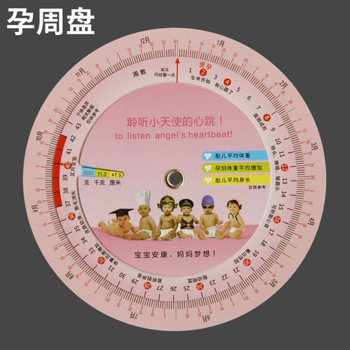 怀孕时间计算器(2023年预产期计算器)