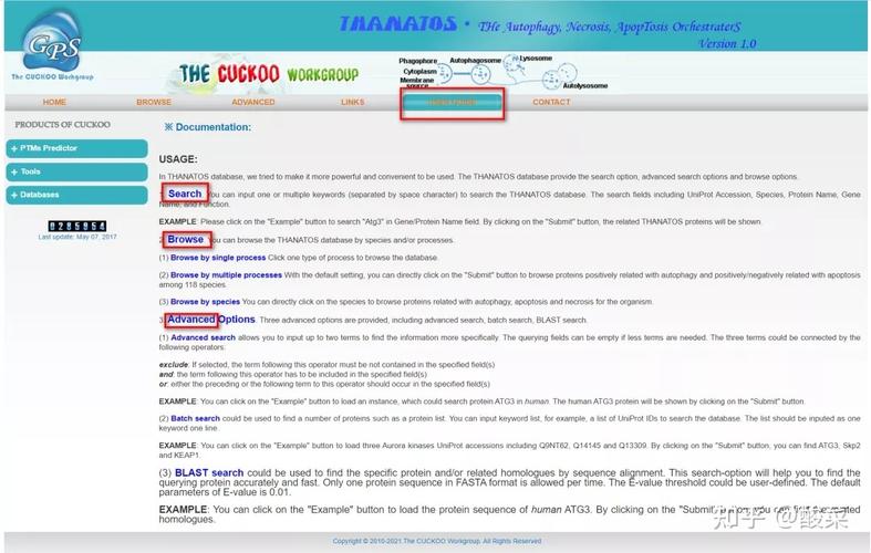 index是什么意思英语(index是什么意思英语翻译)