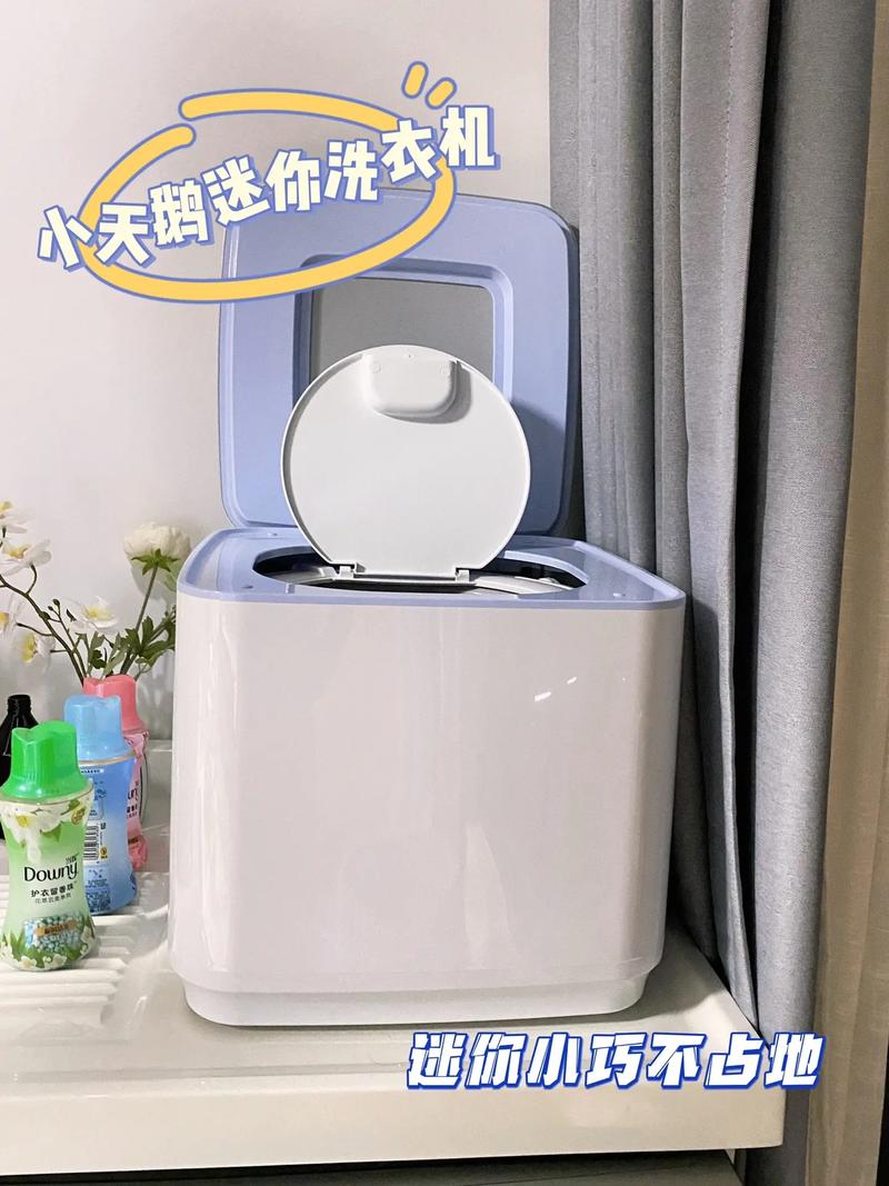 小小洗衣机ios(小鸭洗衣机是名牌吗)