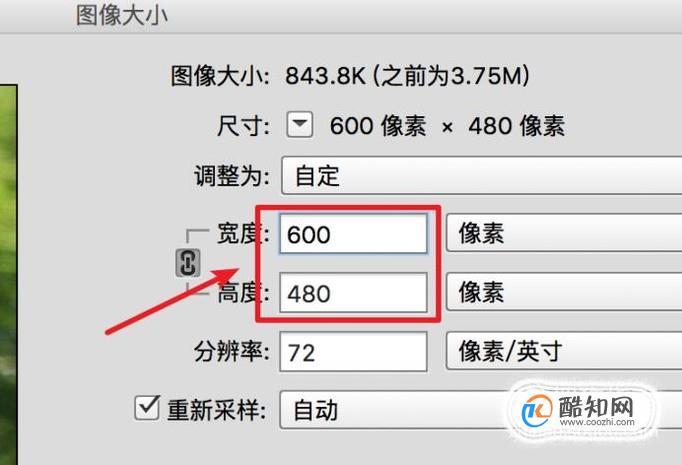 照片尺寸修改(照片宽度和高度修改)