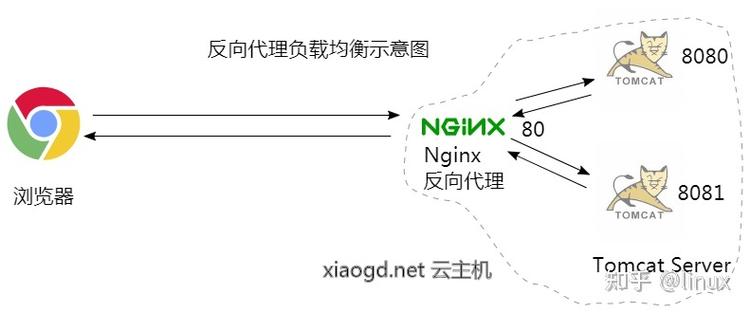 nginx正向代理和反向代理区别(nginx正向代理和反向代理区别在哪)