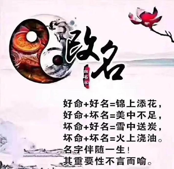 起名公司免费网(带火聚财公司名字)