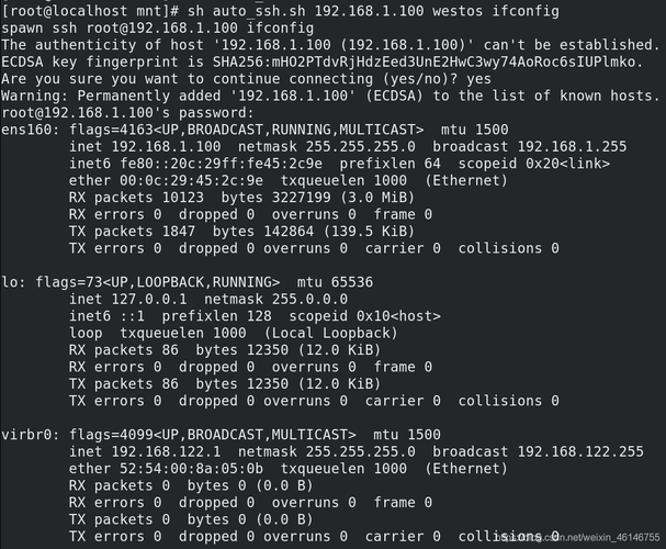 linux的shell是什么(linux shell是干什么的)