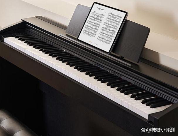 钢琴品牌排行榜(国内钢琴品牌排行榜) 钢琴品牌排行榜(国内钢琴品牌排行榜)