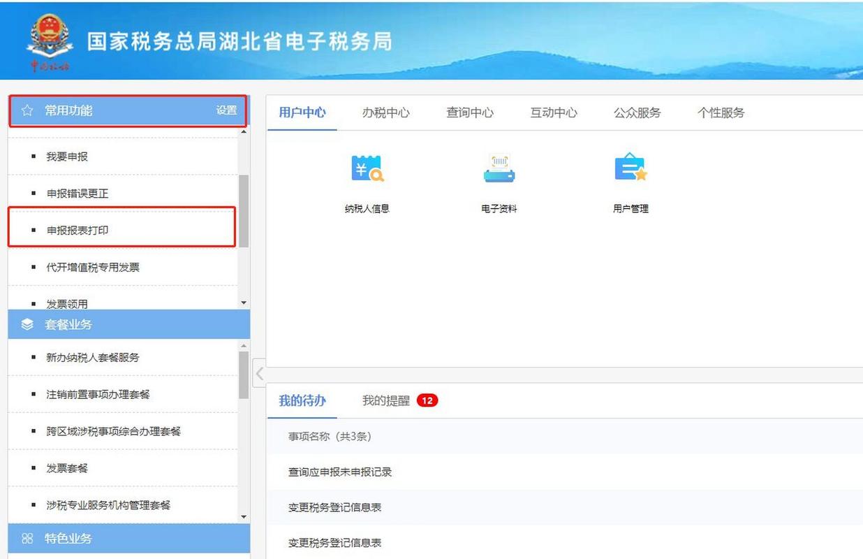 浙江省电子税务局(浙江省电子税务局网上申报)