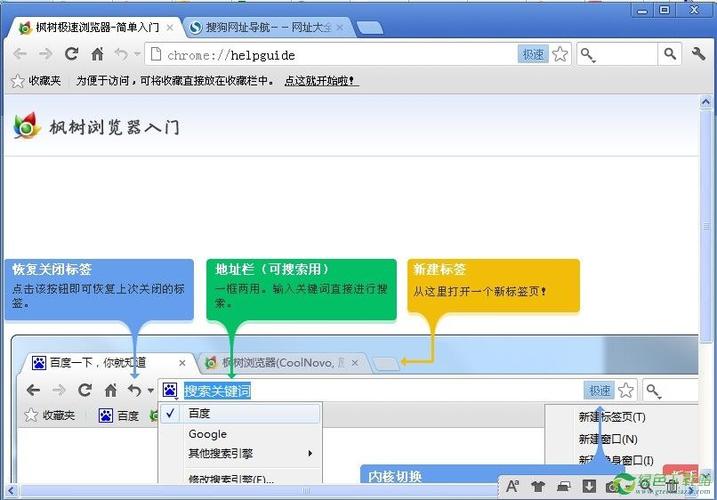 枫树浏览器怎么样(chrome内核的浏览器)