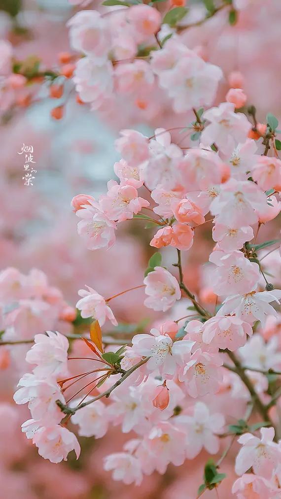 白姐三肖三码期期准四年233(白姐三肖三码期期准四年,免费提供公式) 白姐三肖三码期期准四年233(白姐三肖三码期期准四年,免费提供公式)