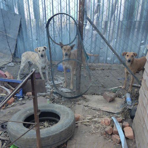 非洲佬4码中特(非洲佬4码中特,重点分析八方来财) 非洲佬4码中特(非洲佬4码中特,重点分析八方来财)