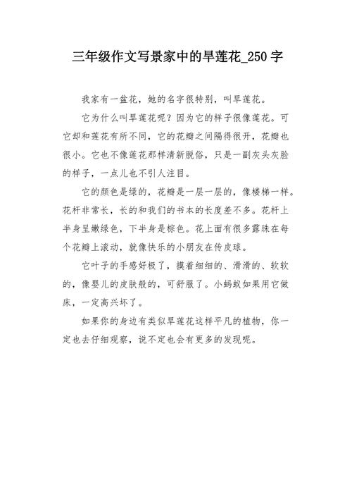 英语课代表的胸软软的感觉作文(英语课代表语涨奶喂我喝)